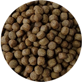 水產(chǎn)膨化機(jī)