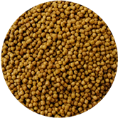 水產(chǎn)膨化機(jī)